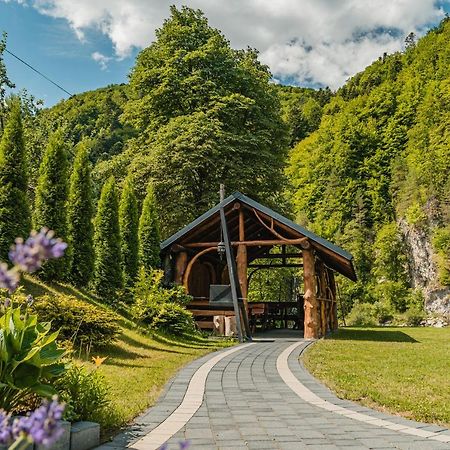 Apartamenty Magia Gor Szczawnica Exteriör bild