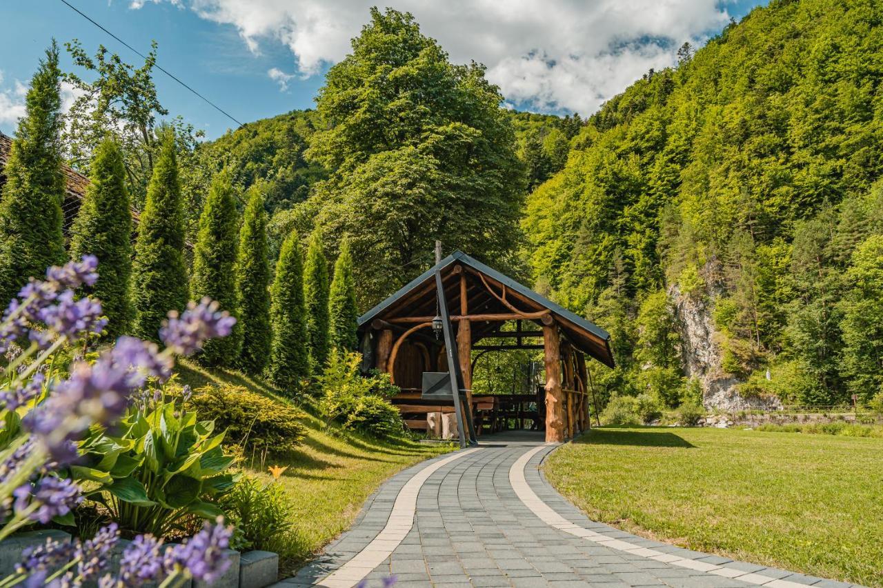 Apartamenty Magia Gor Szczawnica Exteriör bild